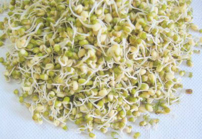 E-coli Contaminated Bean Sprouts- A Case Of Mistaken Identity? 